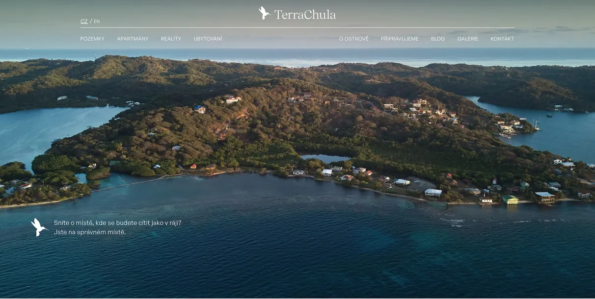 Terrachula - tvorba webové stránky